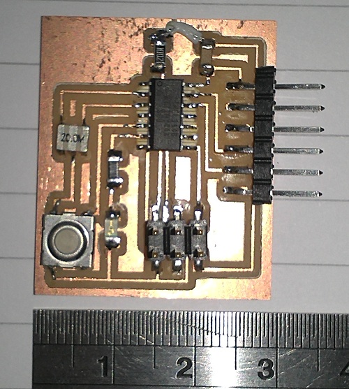 Picture of my Echo board