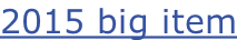 2015 big item