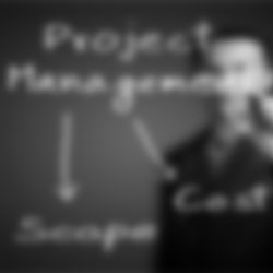 Principles and practices. Project management