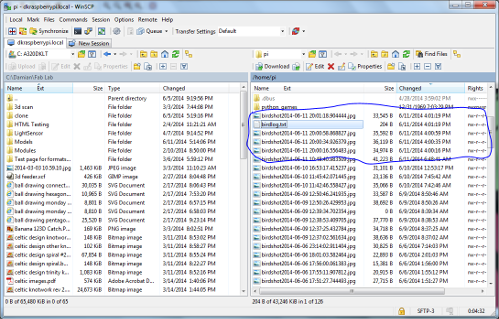 WinSCP Capture