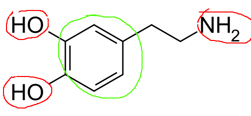 dopamine
