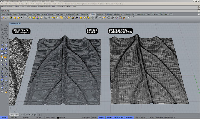 05_rhino_leaf_mesh2surface.jpg