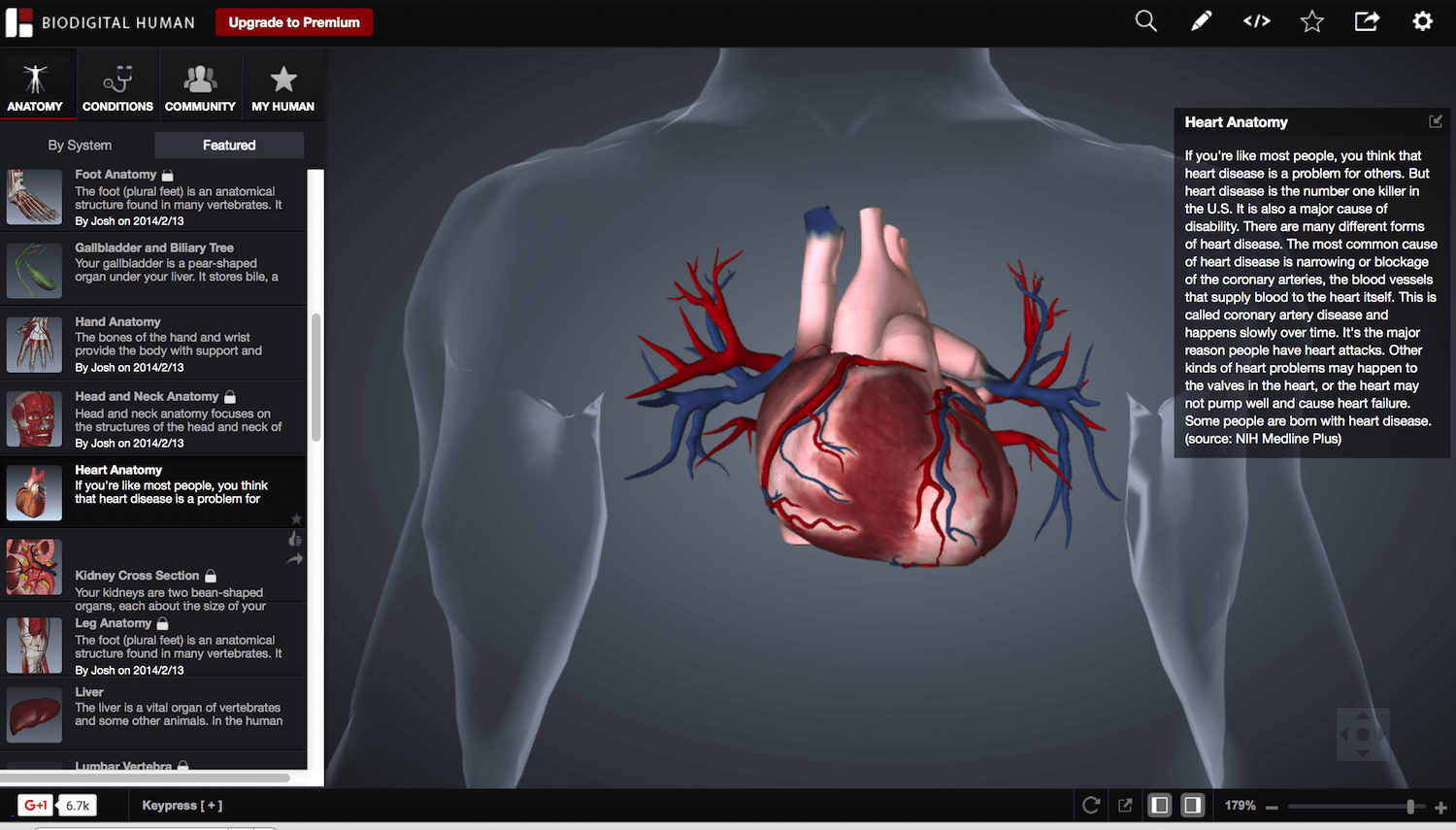 heart