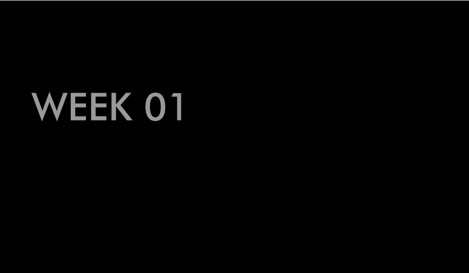 Week 01