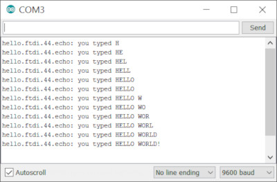 Hello echo result