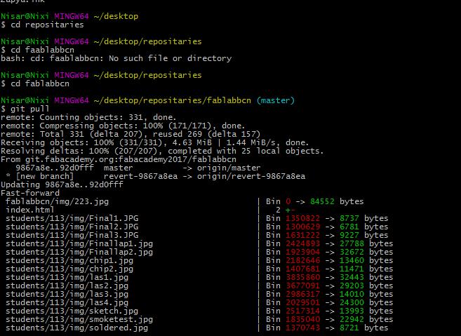 Git 1
