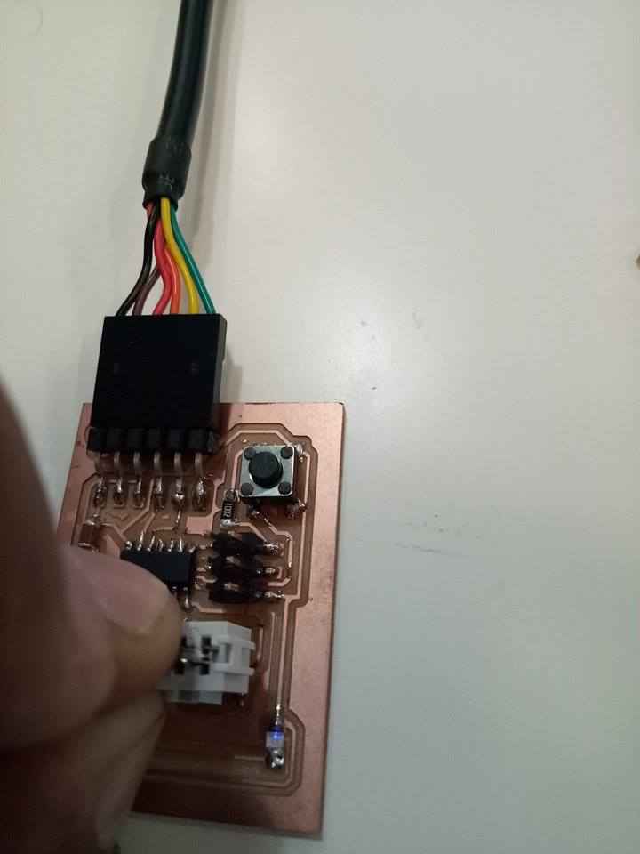 Blinking Program Worked Perfectly