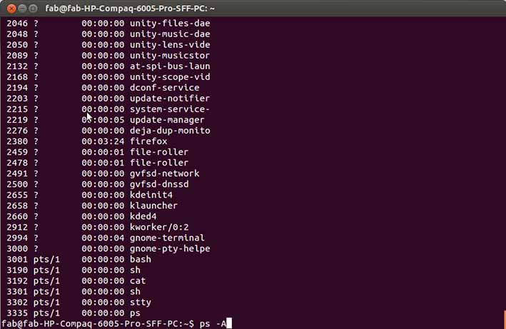 kill_process