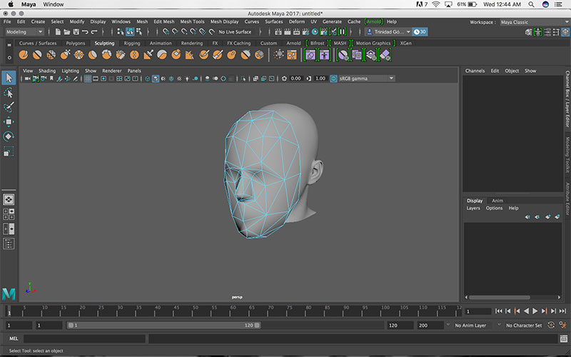 Mask Maya