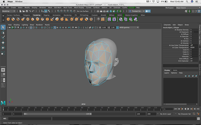 Mask Maya