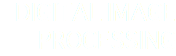 DIGITAL IMAGE PROCESSING