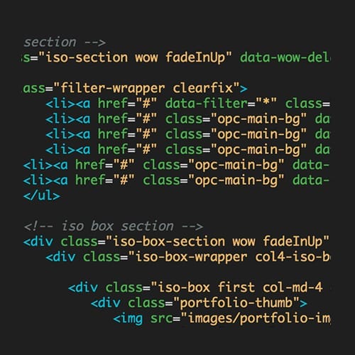 Portfolio