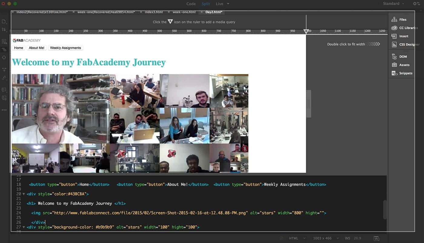 HTML programming