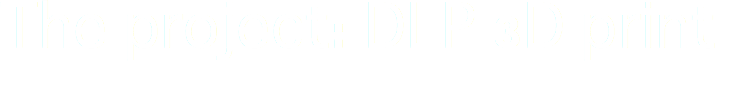 The project: DLP 3D print