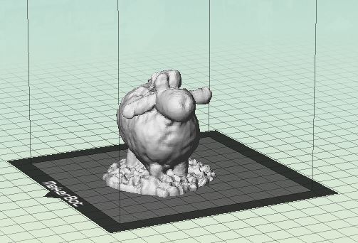 scanning sheep
