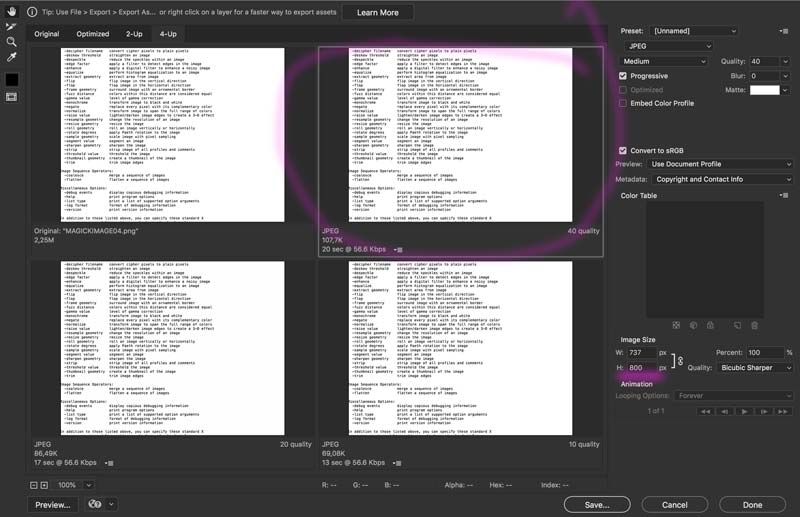 Photoshop Export 01