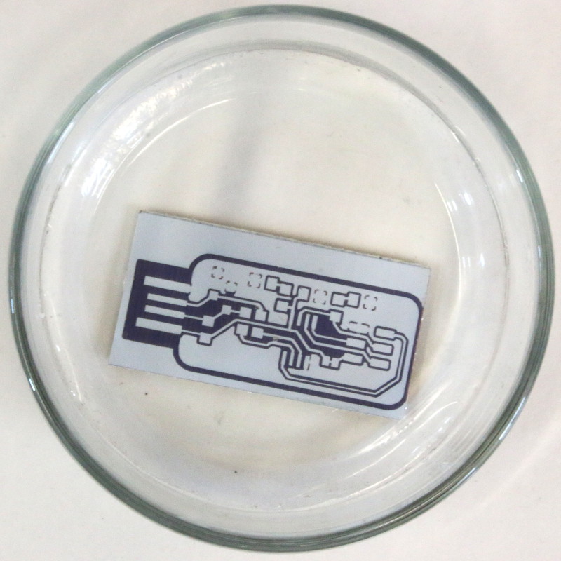 Developing : at start Developing : at start