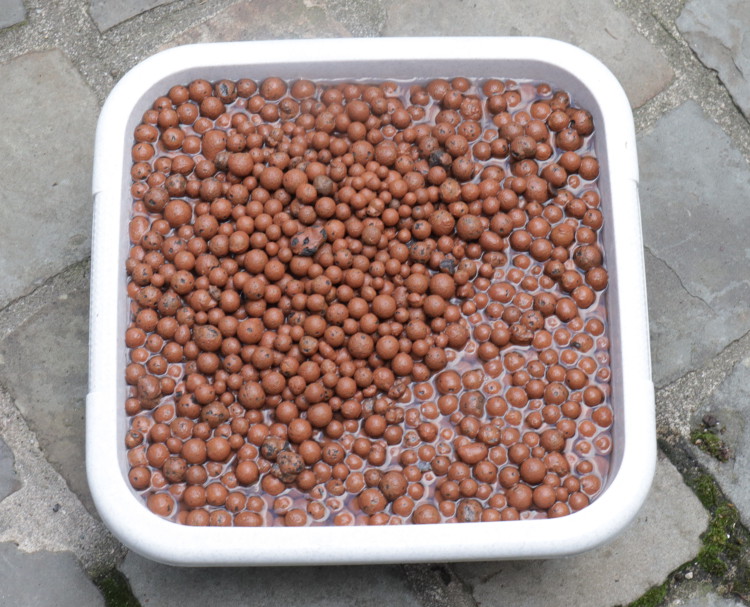 pH buffering pH buffering