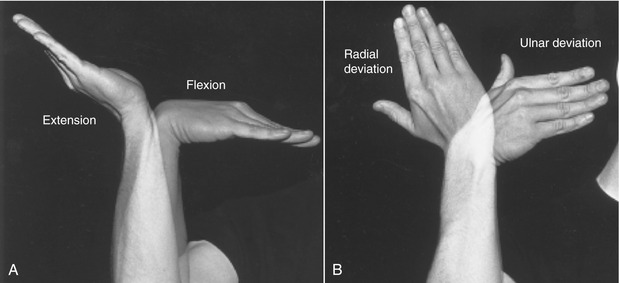 ./images/wrist.jpg