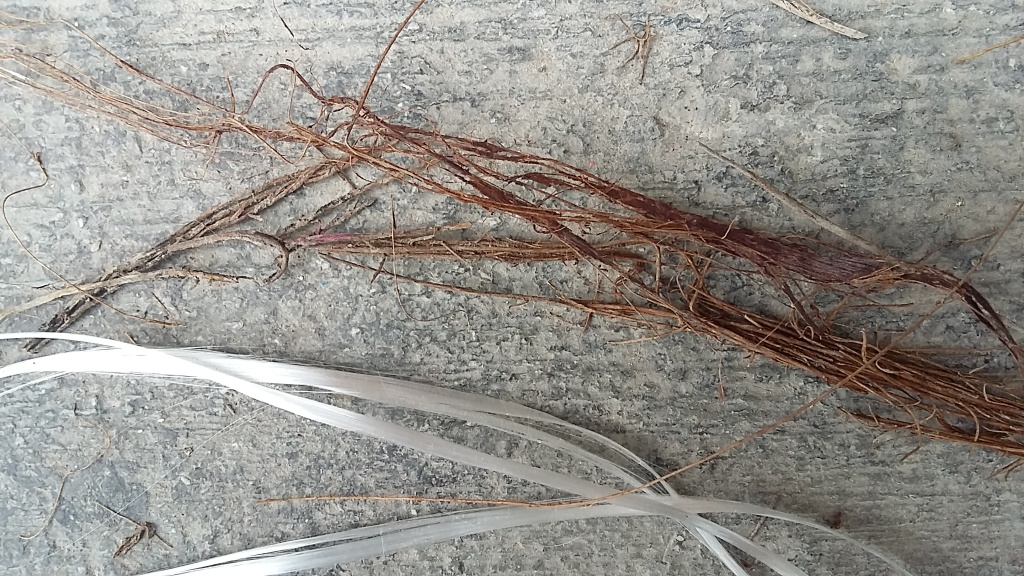 fiber4.jpg