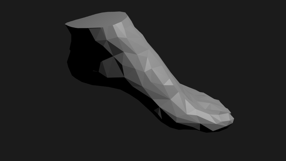foot_scan.png