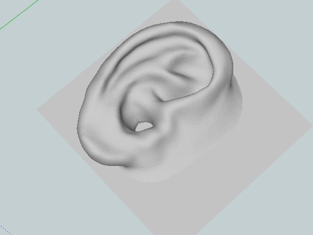 ear_model.jpg