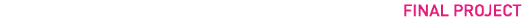 FINAL PROJECT