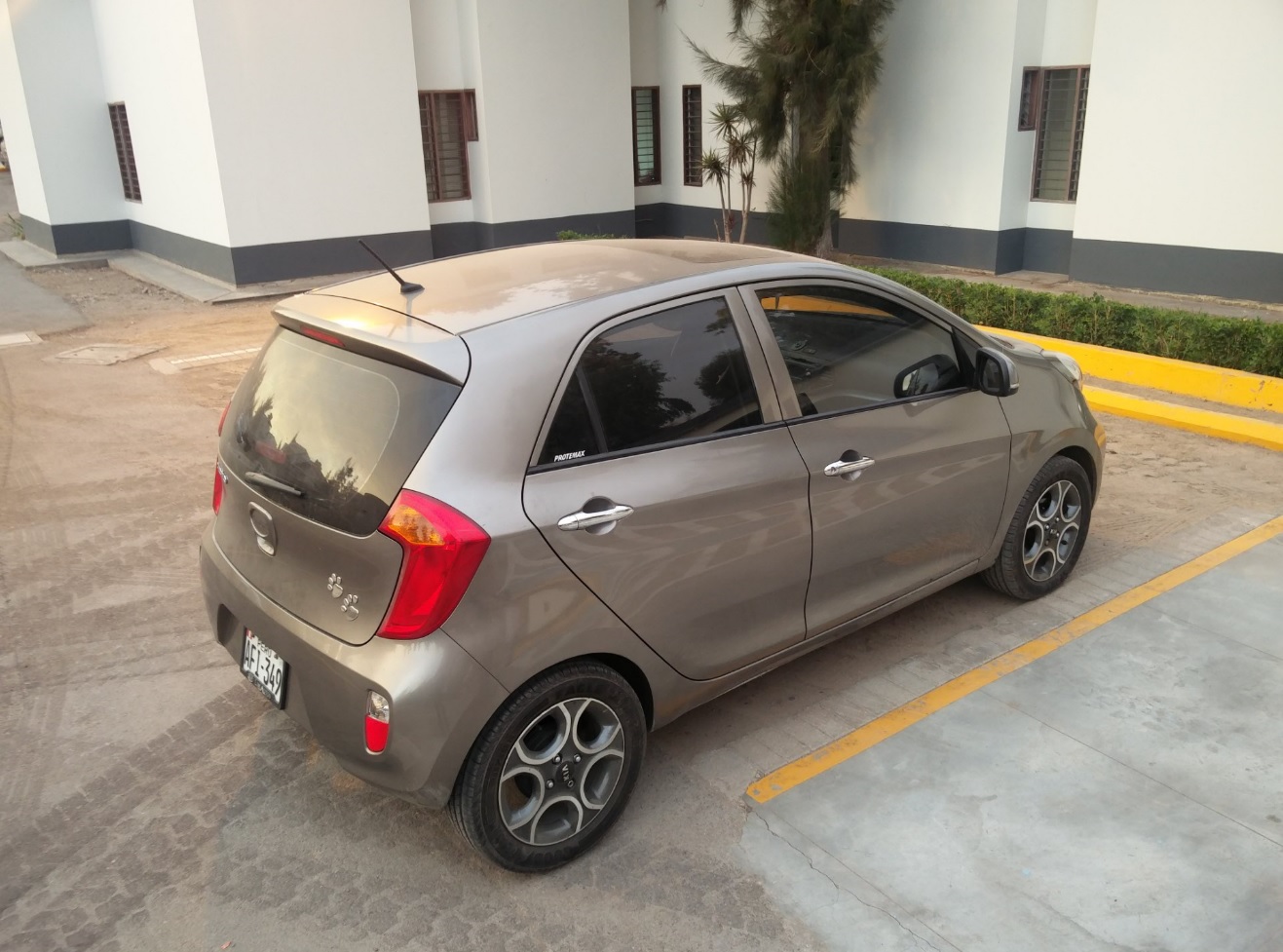 picanto1