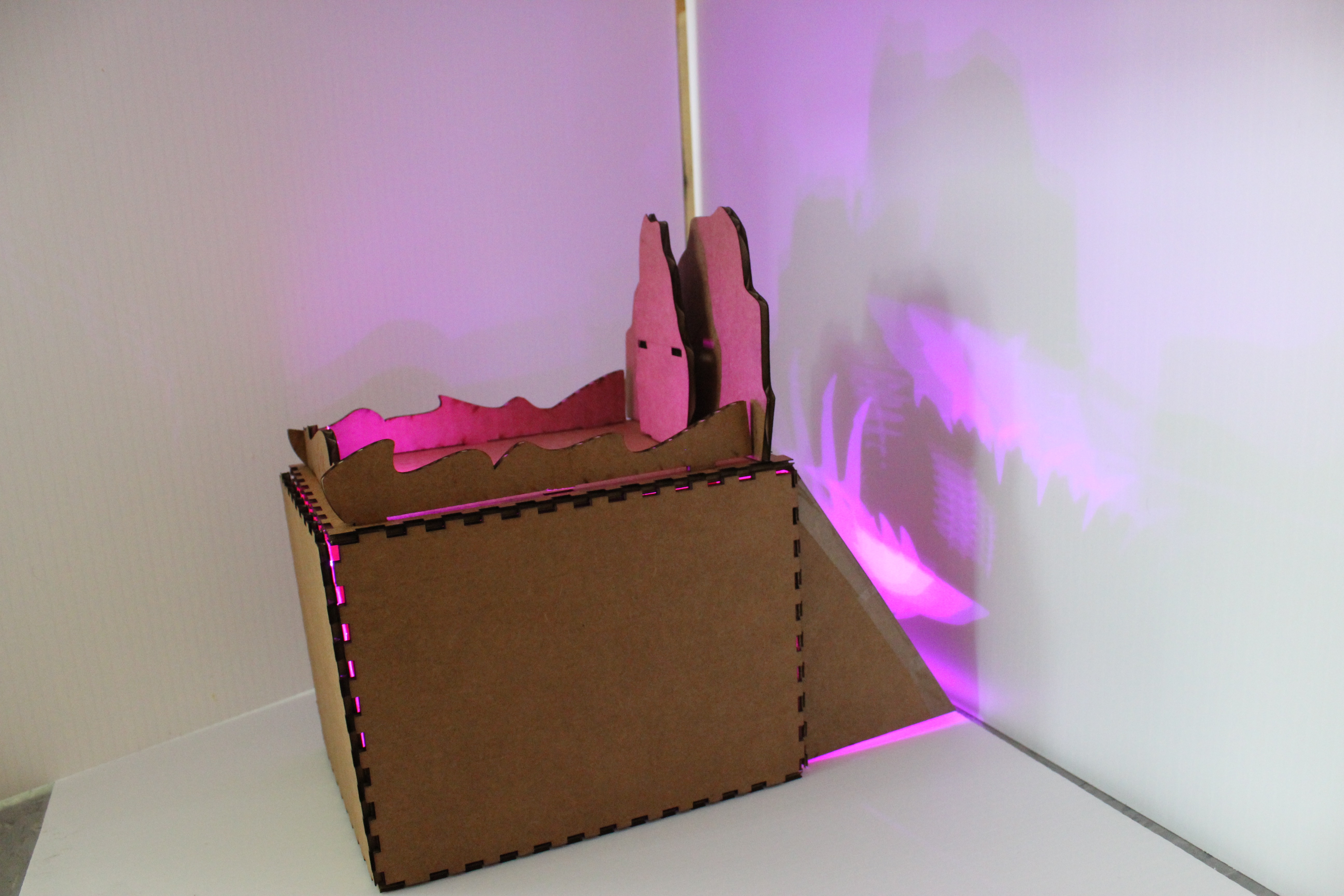 final project