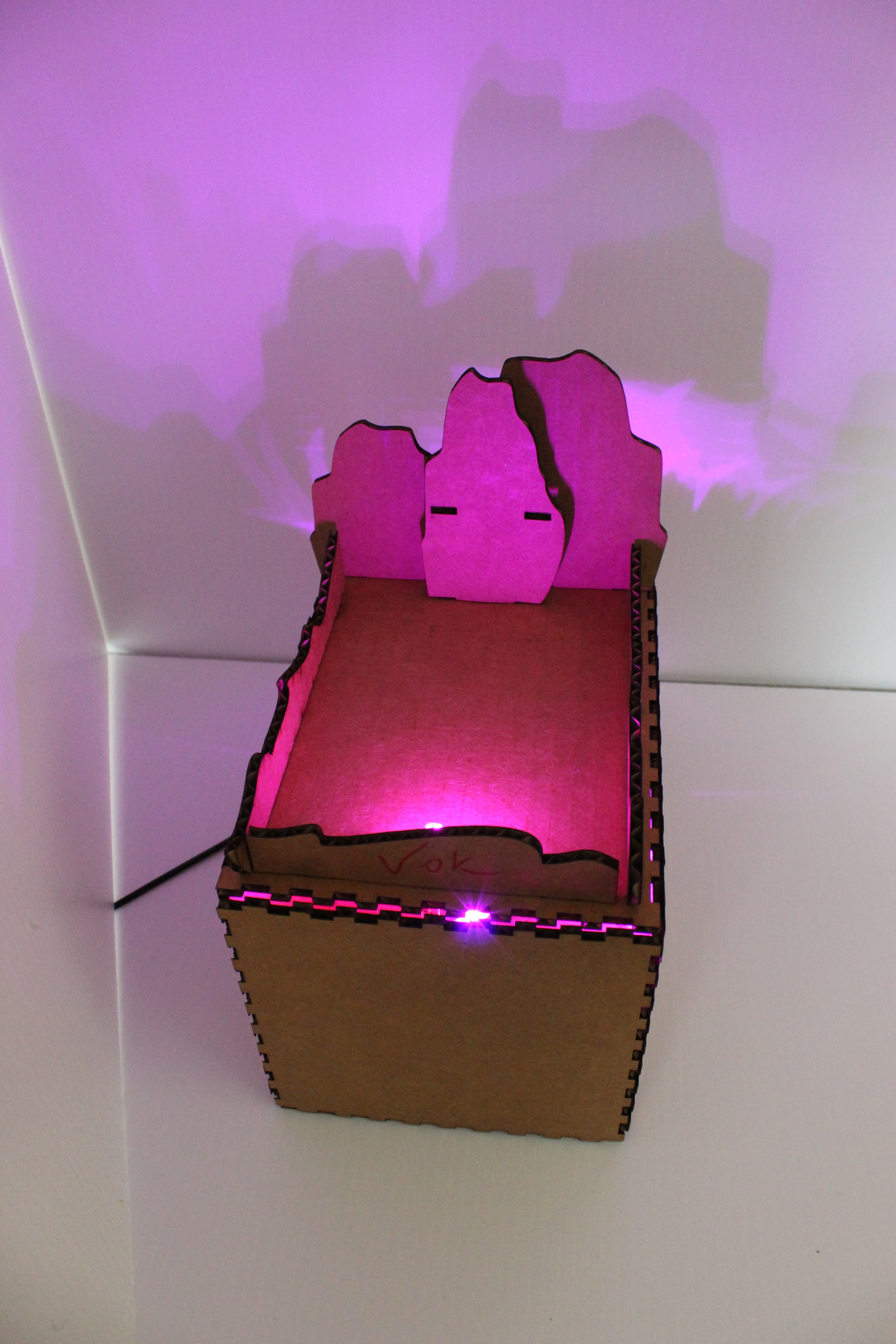 final project