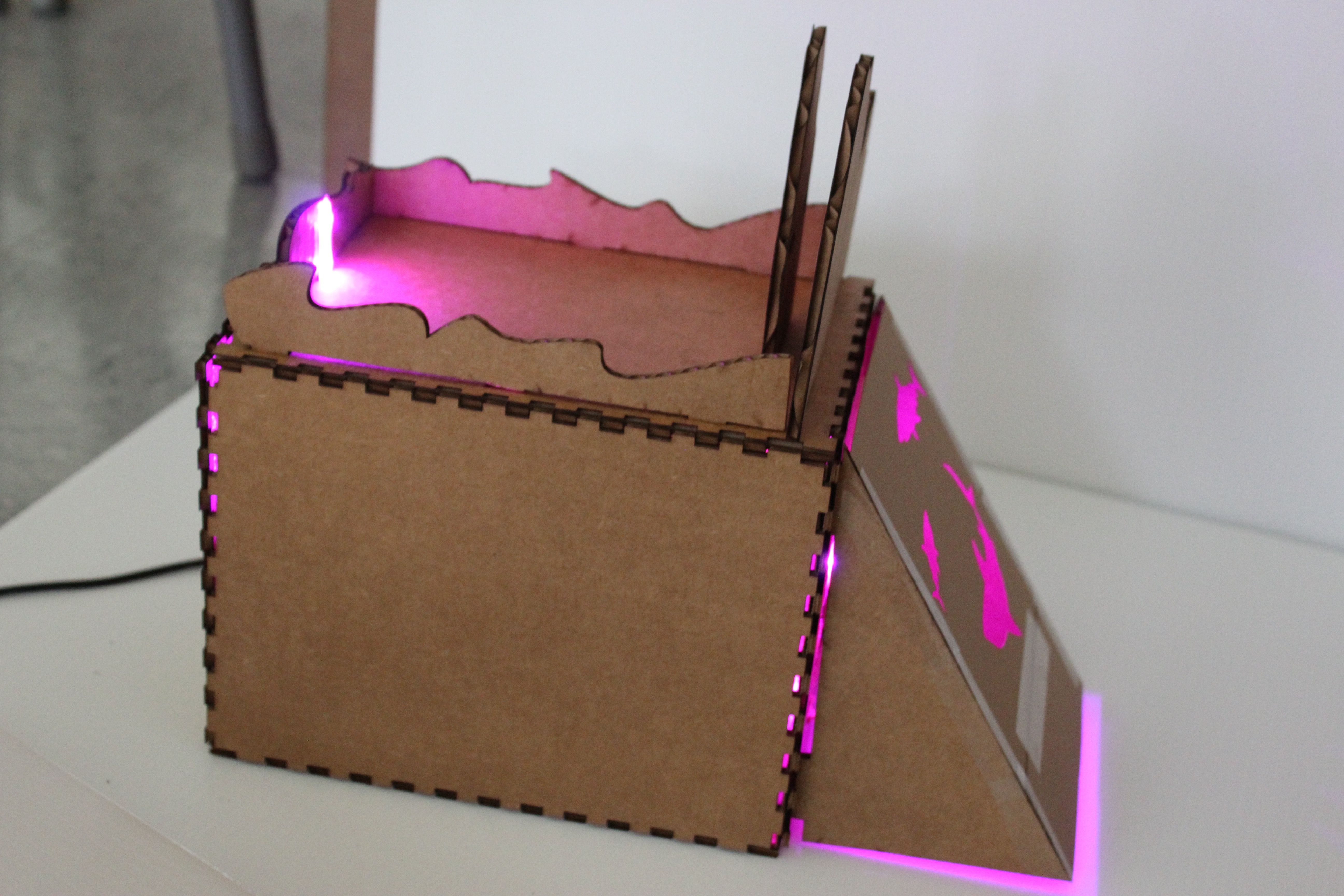 final project