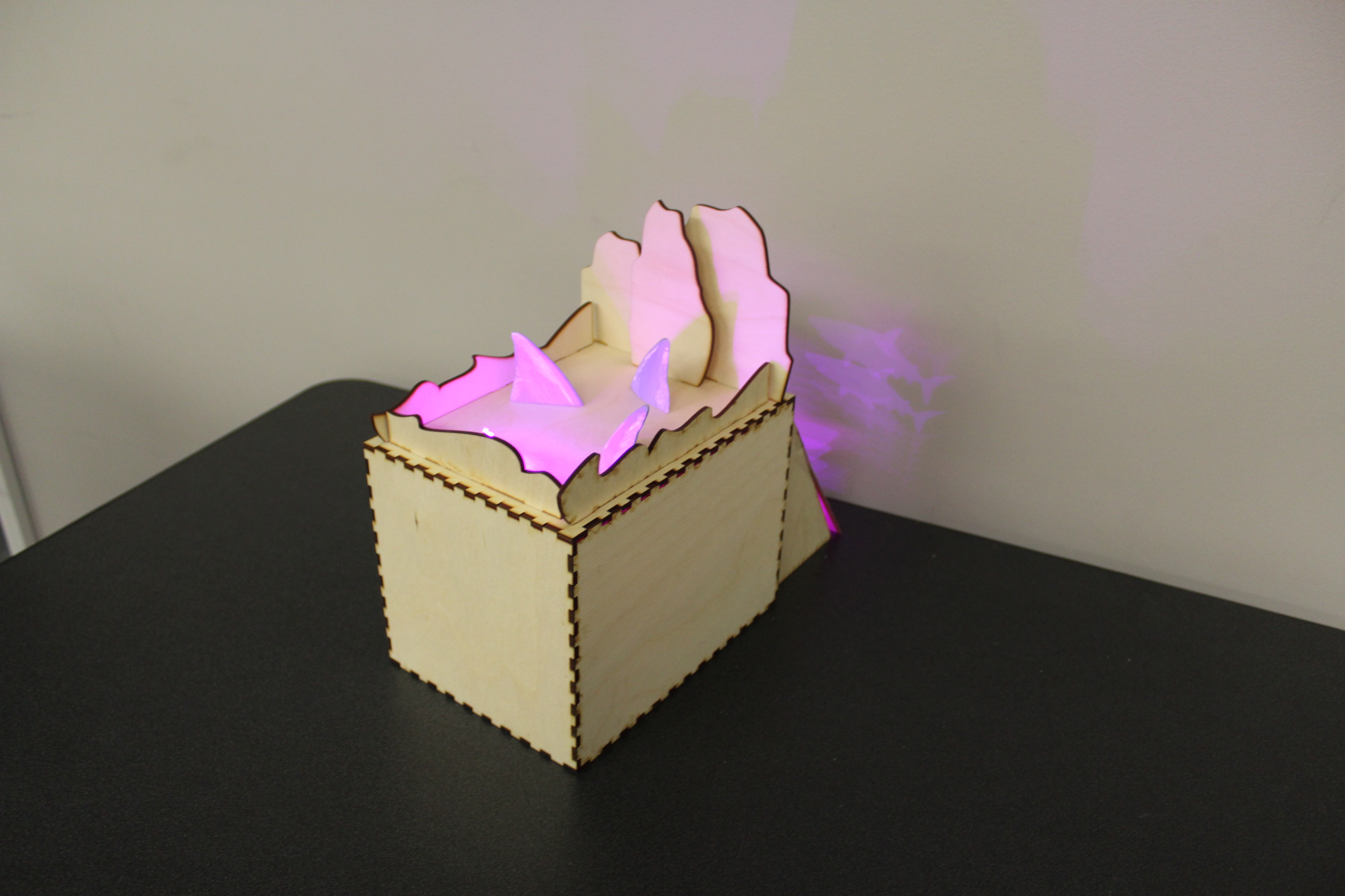 final project