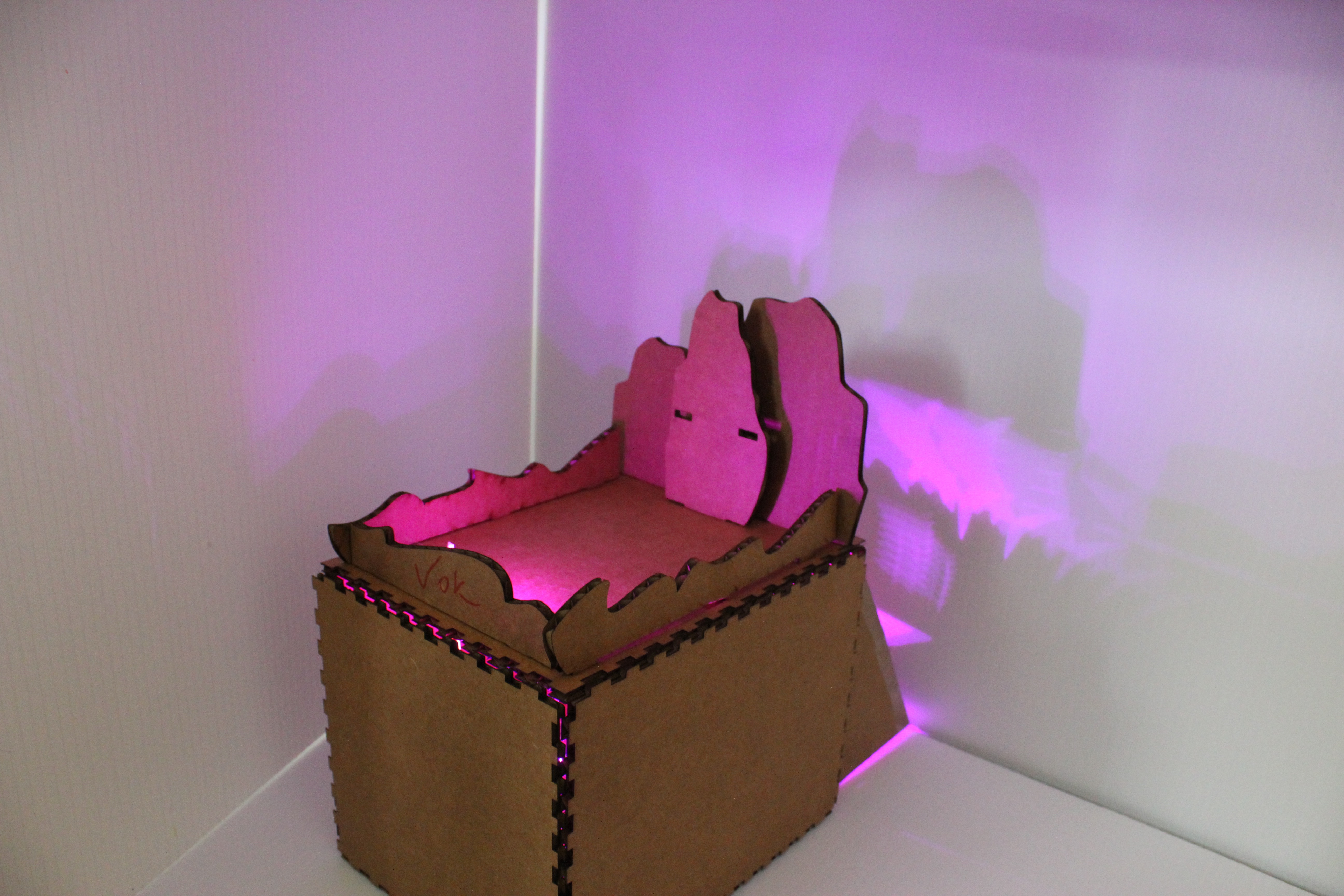 final project