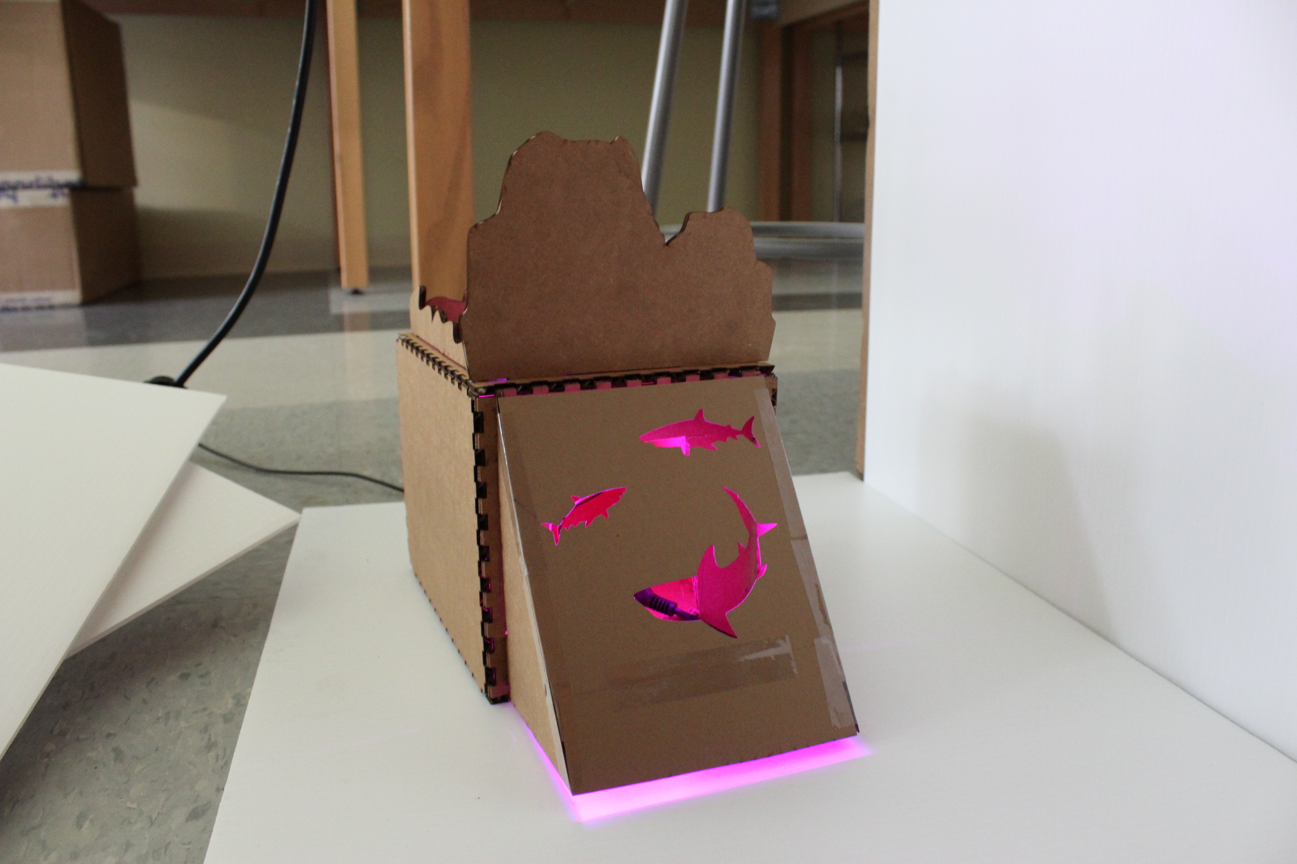 final project