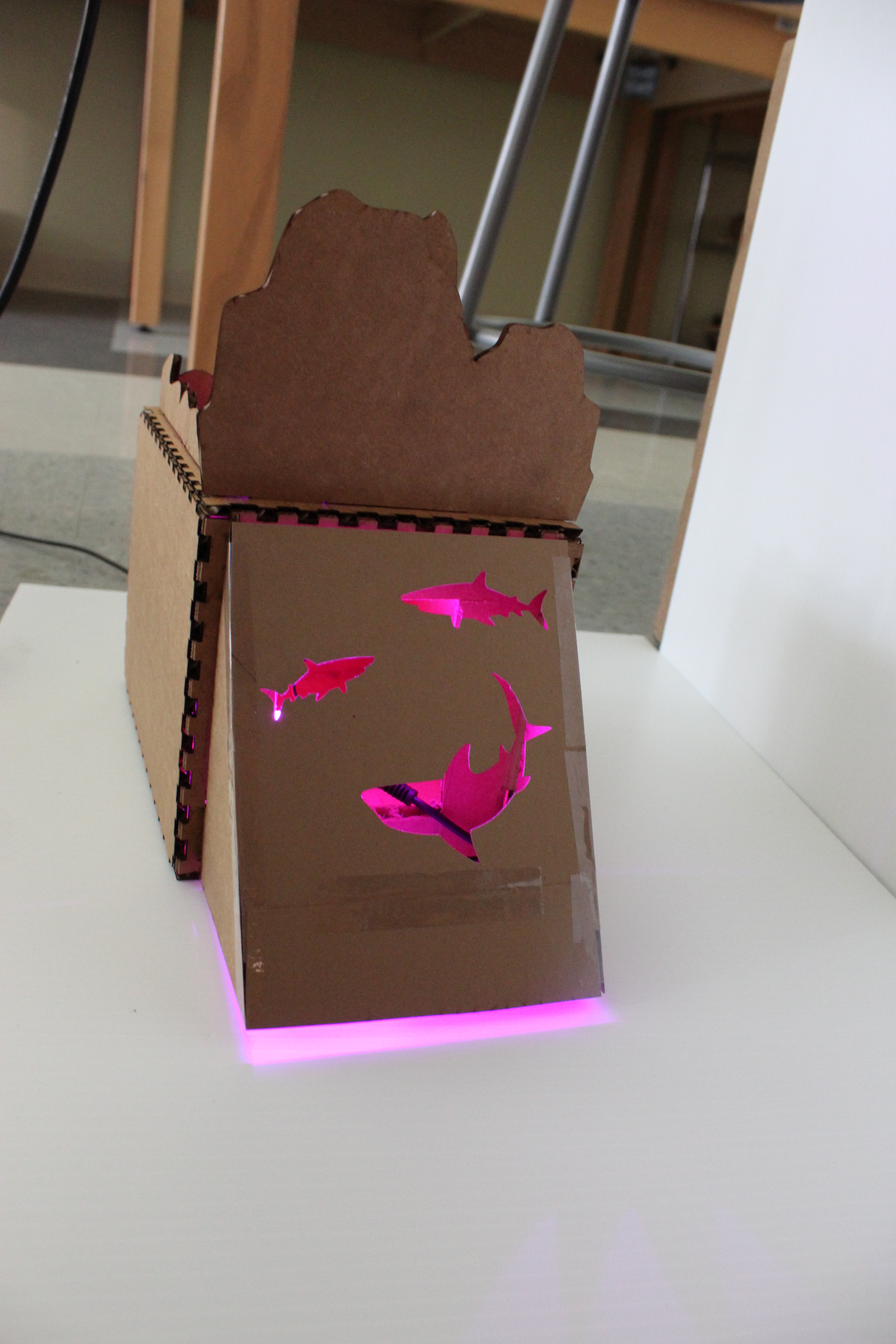 final project