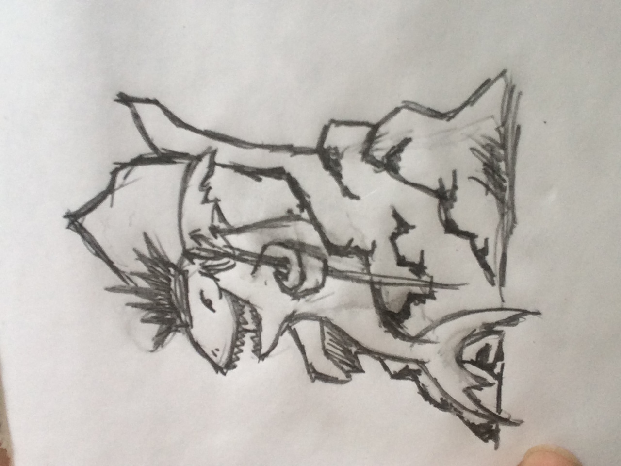 sketch of shark king