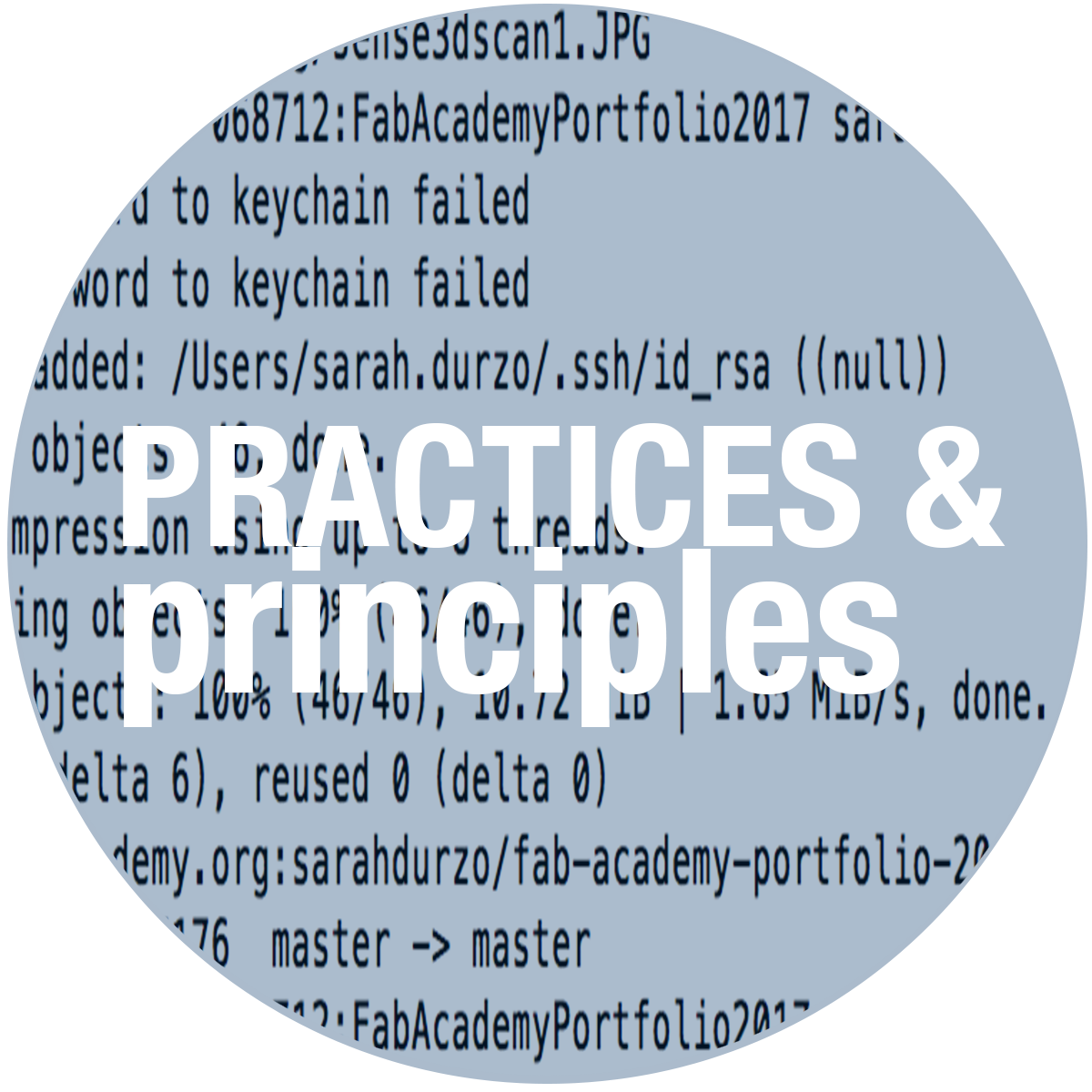 blue picture principles-and-practices project Icon