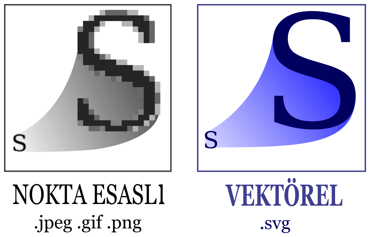 vector vs raster