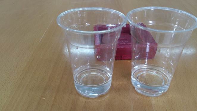 WhatsApp Image 2017-05-08 at 1.27.52 PM.jpeg