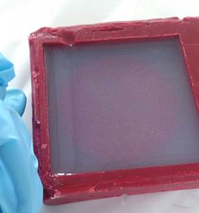 WhatsApp Image 2017-05-08 at 1.27.53 PM(1).jpeg