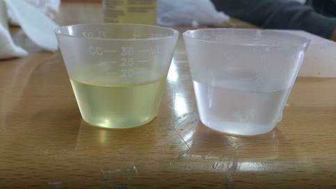 WhatsApp Image 2017-05-08 at 5.17.45 PM.jpeg