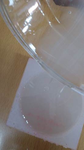 WhatsApp Image 2017-05-08 at 5.24.23 PM.jpeg