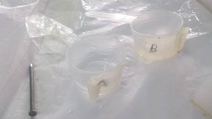 WhatsApp Image 2017-05-20 at 1.51.33 PM.jpeg