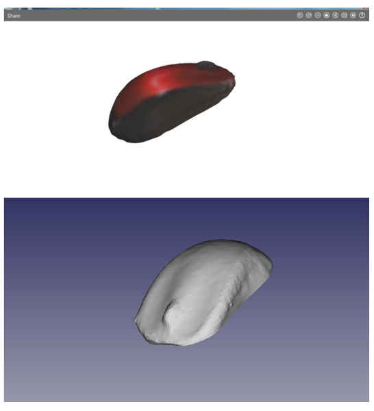 Sense 3D scanner