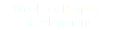 Week 19: Project Development