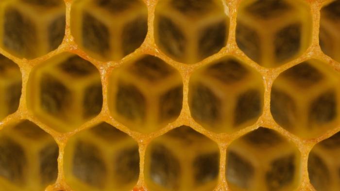 honeycomb