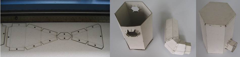 trigen_carton