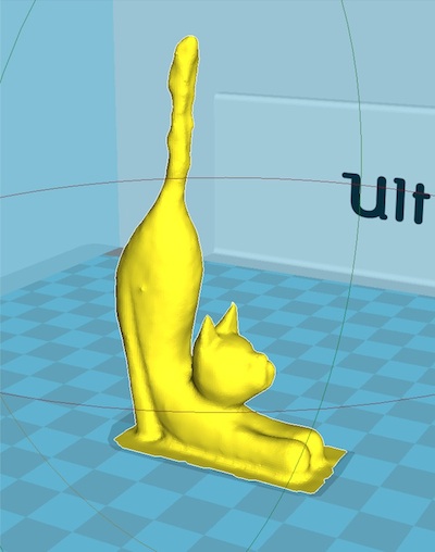 Cat Model