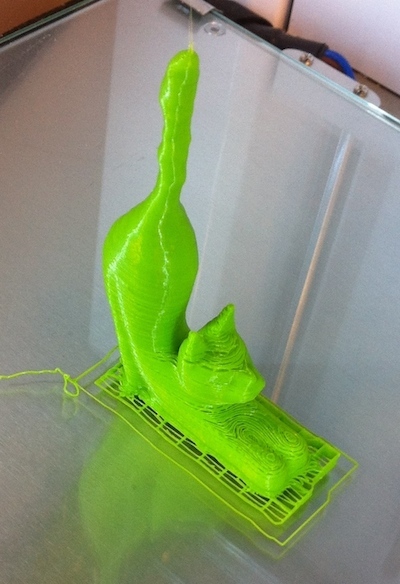 Cat Printed