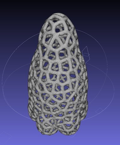 Voronoi Model